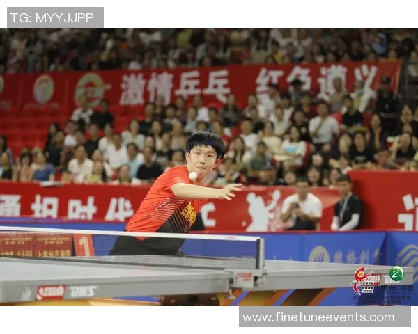 杨伟独家：分享乒乓球心得