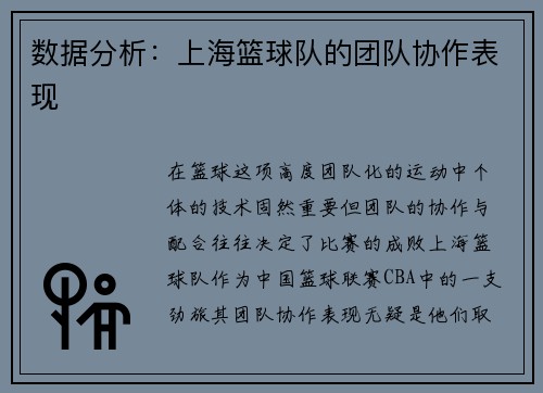 数据分析：上海篮球队的团队协作表现