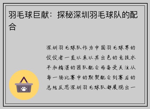 羽毛球巨献：探秘深圳羽毛球队的配合