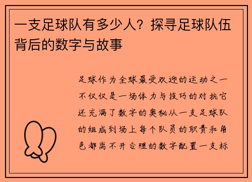 一支足球队有多少人？探寻足球队伍背后的数字与故事