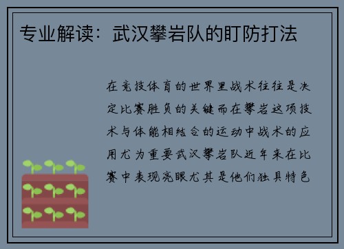 专业解读：武汉攀岩队的盯防打法