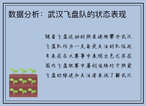 数据分析：武汉飞盘队的状态表现