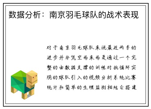 数据分析：南京羽毛球队的战术表现