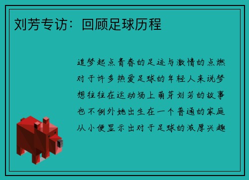 刘芳专访：回顾足球历程